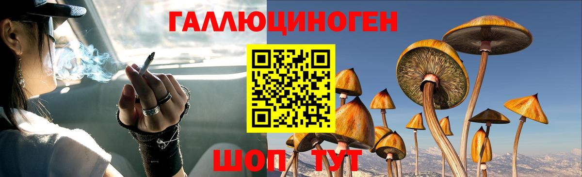 МЕФ Россошь