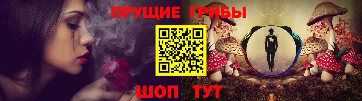 Галлюциногенные грибы GOLDEN TEACHER Россошь